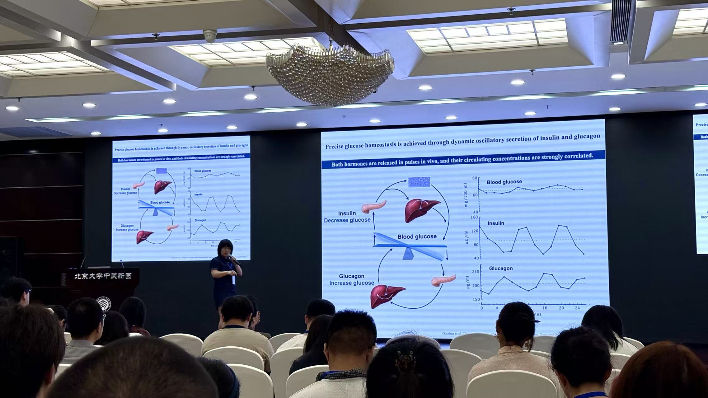 Quantitative Biology 2026：Systems and Physical Biology